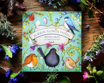 Caixa com 8 cartas de pássaros