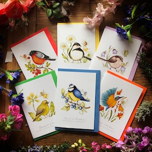 Aves Selvagens - Pacote de 6 cartas