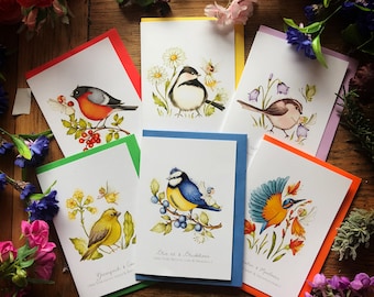 Wild Birds - Pack of 6 cards