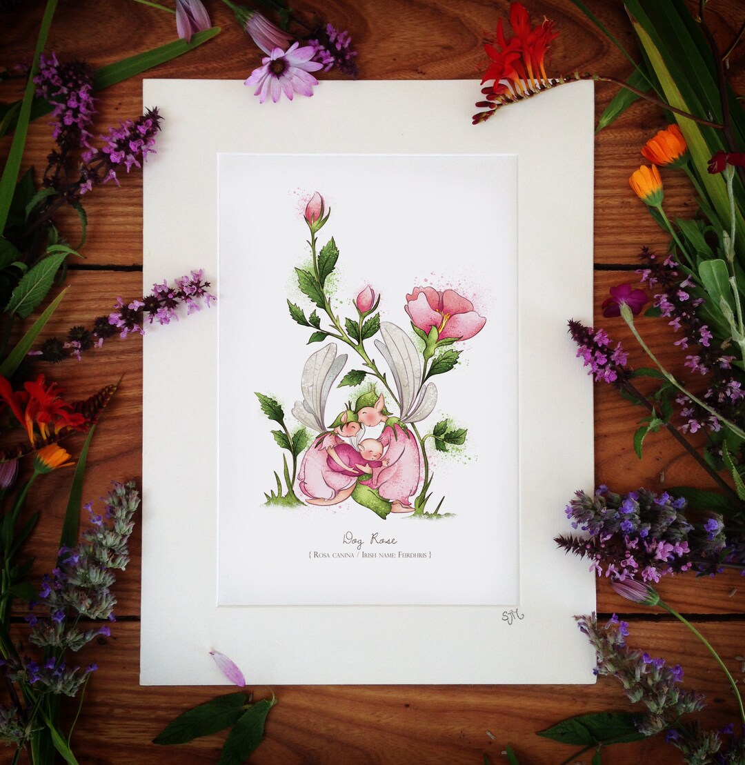 Rose Baby Girl Illustrated Art Print Etsy