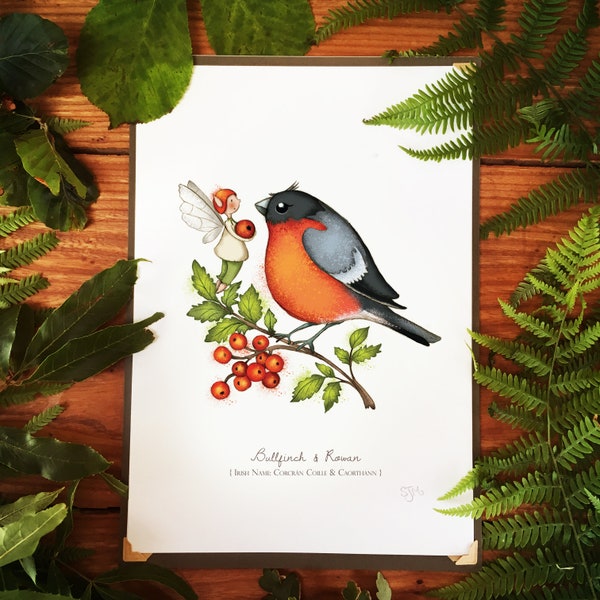 Bird Prints (9 designs)