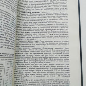 Tjernobyl-katastrofen. Kärnkraftverk. Чернобыльская атомная станция bild 12