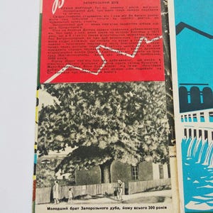 May include: A vintage postcard featuring a black and white illustration of a large tree with people near a fence. The postcard has text in Ukrainian and a red and green border. The text includes "Zaporozhskyi Dub" and "Younger brother of the Zaporozhskyi oak, he is only 300 years old."