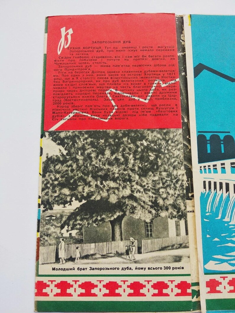 May include: A vintage postcard featuring a black and white illustration of a large tree with people near a fence. The postcard has text in Ukrainian and a red and green border. The text includes "Zaporozhskyi Dub" and "Younger brother of the Zaporozhskyi oak, he is only 300 years old."