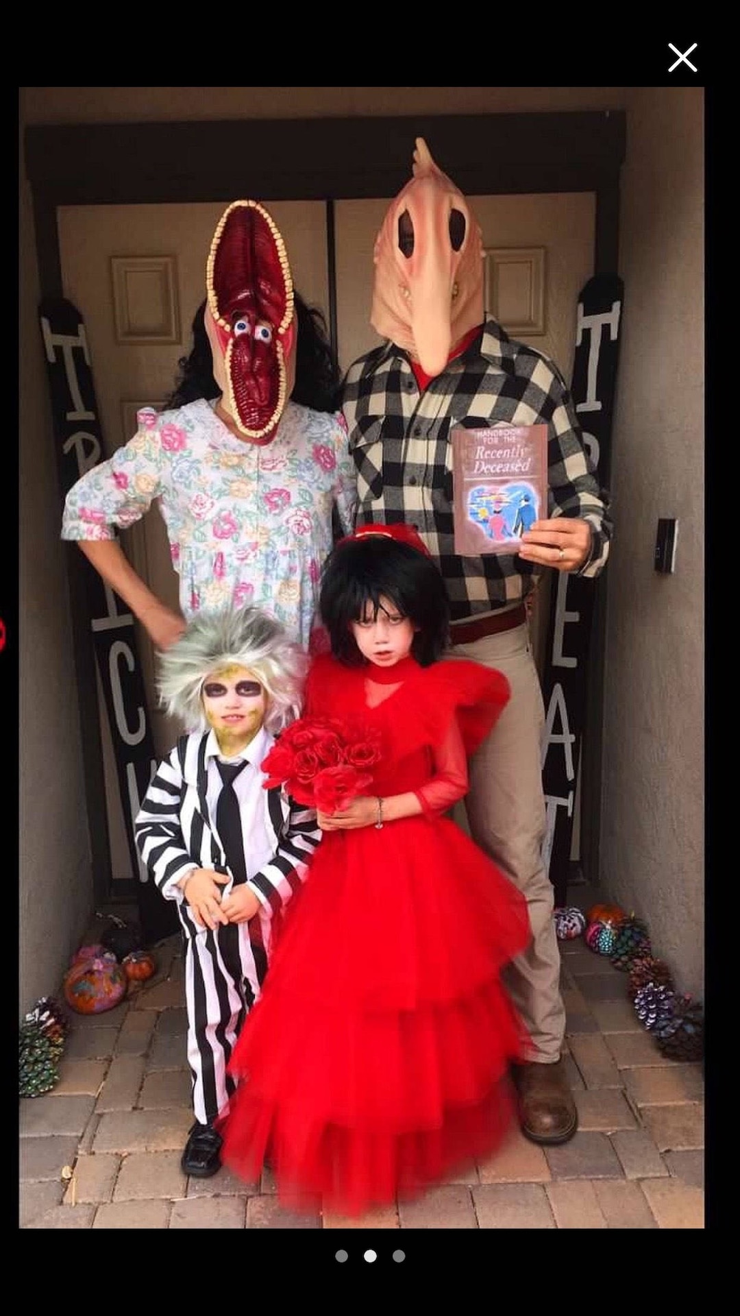 Costume Ideas Beetlejuice And Lydia Wedding Costumes Beetle Juice