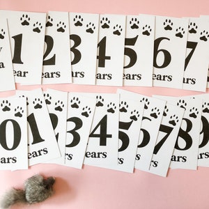 Cartes d'étape pour animaux de compagnie Accessoires photo pour chat Anniversaire de chat Cartes d'étape pour chat Accessoires photo pour anniversaire de chat Premier anniversaire de chat Cartes pour animaux de compagnie Happy
