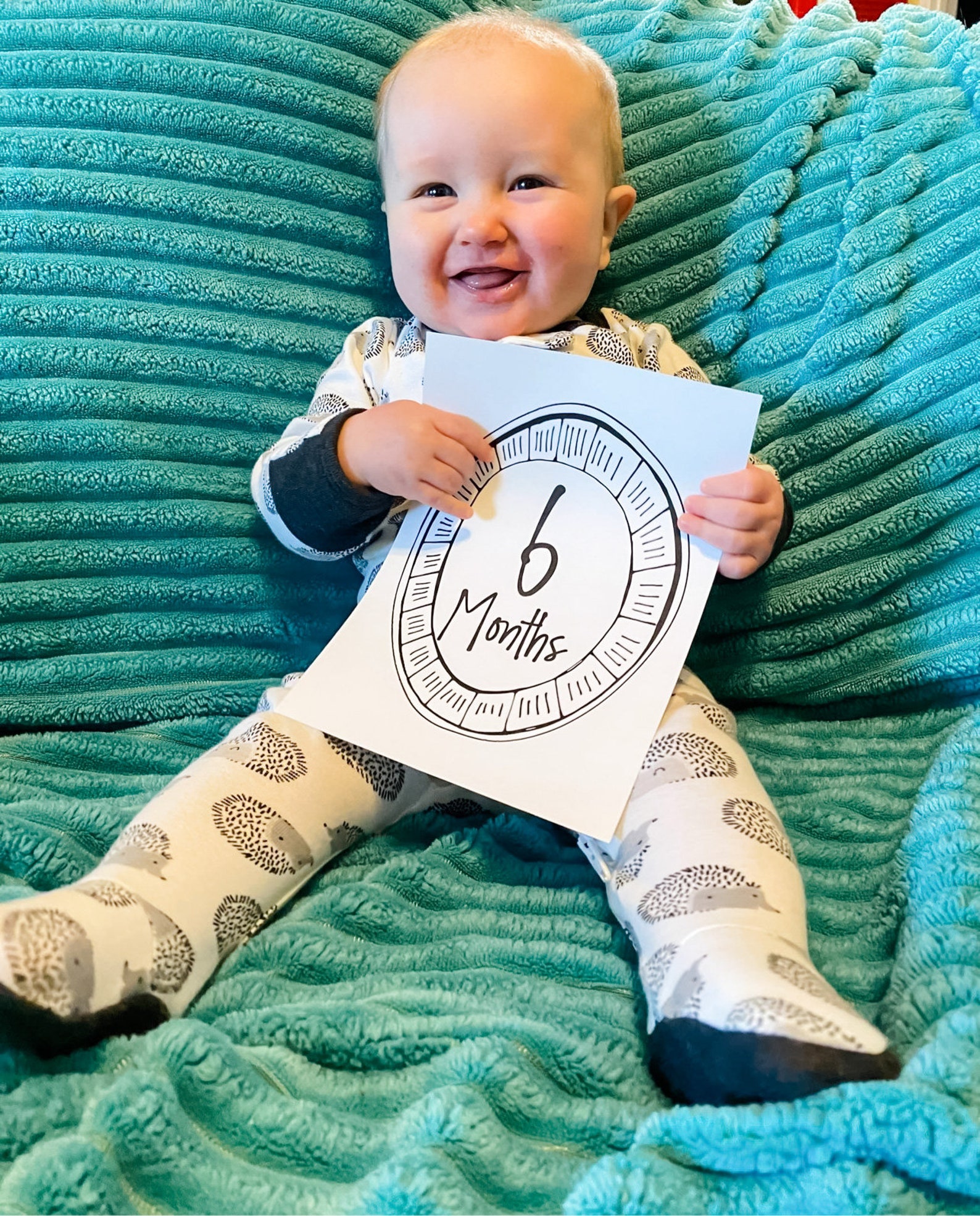 Baby Milestone Markers Baby Shower Gift Month Marker Monthly Milestones ...