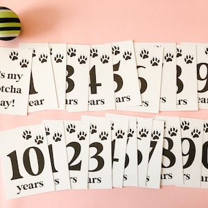 Cartes d'étape importante pour animal de compagnie Accessoire photo pour chien Anniversaire de chien Cartes d'étape importante pour chien Accessoires photo d'anniversaire pour chien Cadeau pour chiot Cartes pour animal de compagnie Happy Gotcha Day Cartes pour chien