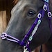 see more listings in the Bridles section