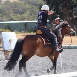 May include: A rider on a brown horse prepares to shoot an arrow at a target. The horse has a black mane and tail. The rider wears a helmet, black shirt, and jeans. The target is white with arrows. The setting is an outdoor archery range on a sunny day.