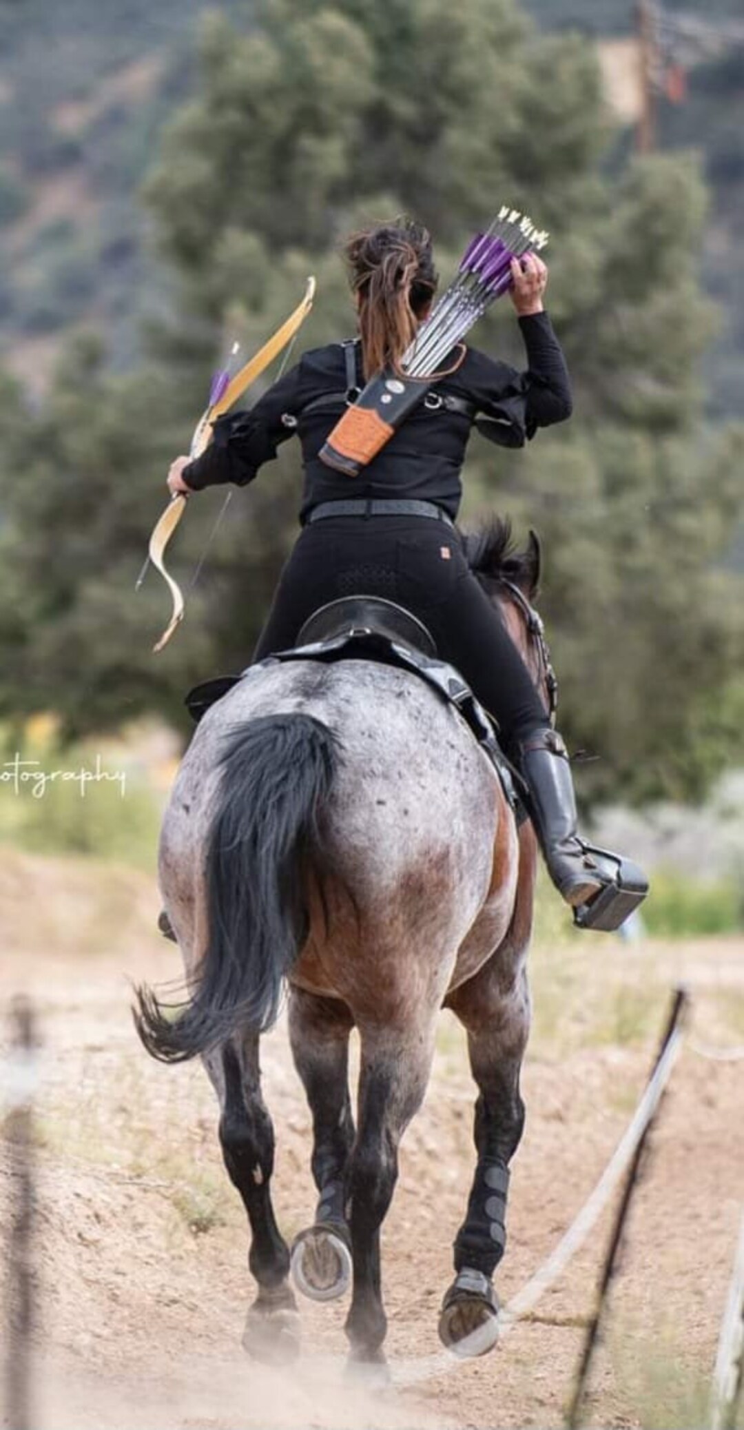 Horse Archery Back Quiver Etsy