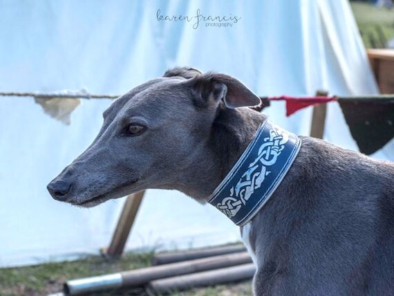 leather sighthound collars