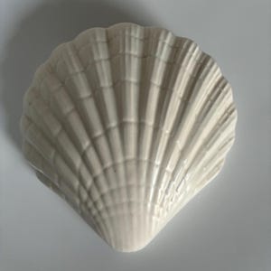 May include: A cream-coloured ceramic seashell-shaped dish. The dish features a textured surface with ribbed detailing and a scalloped edge. The design mimics a natural scallop shell, suitable for coastal decor or serving small items.