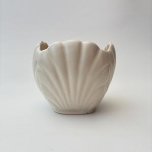 May include: A matte off-white ceramic bowl shaped like a seashell. The bowl features a scalloped rim and vertical ridges radiating from the base to the top edge, creating a textured, fan-like appearance with a smooth, uniform finish throughout.