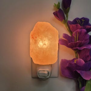 K&ouml;nnte beinhalten: Ein Himalaya-Salz-Nachtlicht, das an eine Steckdose angeschlossen ist. Die Salzlampe hat eine raue, orange-rosa Oberfl&auml;che und strahlt ein warmes Licht aus. Violette Blumen mit gr&uuml;nen Stielen befinden sich im Hintergrund.