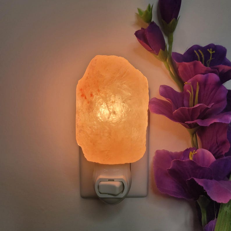 K&ouml;nnte beinhalten: Ein Himalaya-Salz-Nachtlicht, das an eine Steckdose angeschlossen ist. Die Salzlampe hat eine raue, orange-rosa Oberfl&auml;che und strahlt ein warmes Licht aus. Violette Blumen mit gr&uuml;nen Stielen befinden sich im Hintergrund.