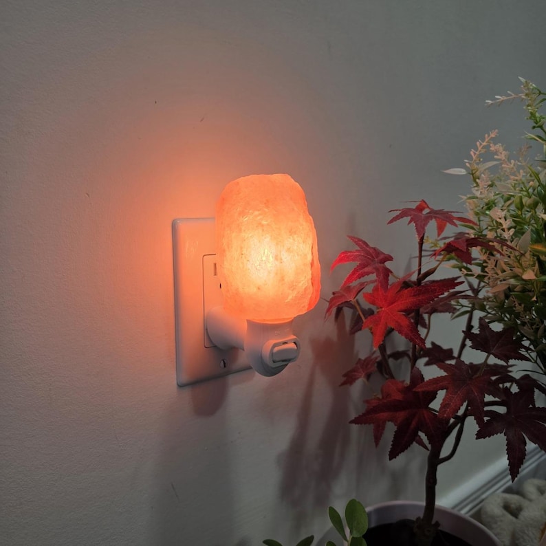 K&ouml;nnte beinhalten: Ein Himalaya-Salz-Nachtlicht, das in eine wei&szlig;e Steckdose gesteckt ist. Die Salzlampe strahlt ein warmes, orangefarbenes Licht aus. Rote und gr&uuml;ne Pflanzen befinden sich im Hintergrund.