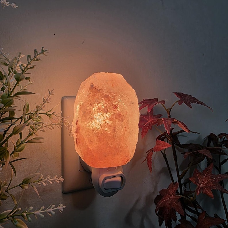 K&ouml;nnte beinhalten: Ein Himalaya-Salzlampen-Nachtlicht, das an eine Steckdose angeschlossen ist. Die Lampe strahlt ein warmes, orangefarbenes Licht aus. Die Lampe ist ein gro&szlig;er, grob behauener Brocken rosa Salzes. Dekorative Pflanzen mit gr&uuml;nen und roten Bl&auml;ttern sind im Hintergrund.
