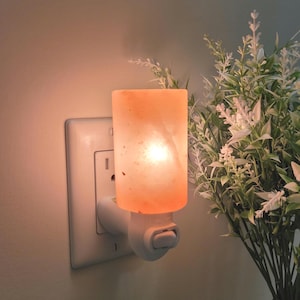Himalayan Salt Night Light, Pink Salt Lamp, Hand Made Salt Crystal Night Lights Shade, Approved Plug,  Cylinder Shape, 7 Watt, night lamp