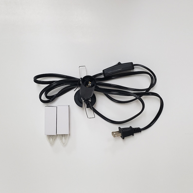 Pu&ograve; includere: Un cavo elettrico nero con una spina, un interruttore in linea e una presa per una lampadina. Due lampadine di ricambio sono incluse nell'immagine.