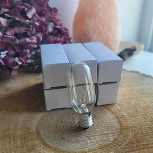 May include: A clear glass light bulb with a standard screw base, sitting on a wooden surface. The bulb is surrounded by six white cardboard boxes.