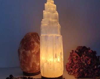 May include: A glowing selenite tower lamp with a layered design, emitting a warm light. Beside it, a rough-hewn, orange-toned salt lamp and dried burgundy flowers. A dark wooden base supports the selenite lamp.