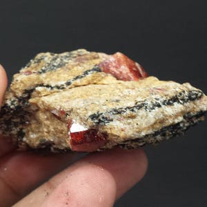 Zircon Crystal on Matrix with Biotite Mica and Black Schor