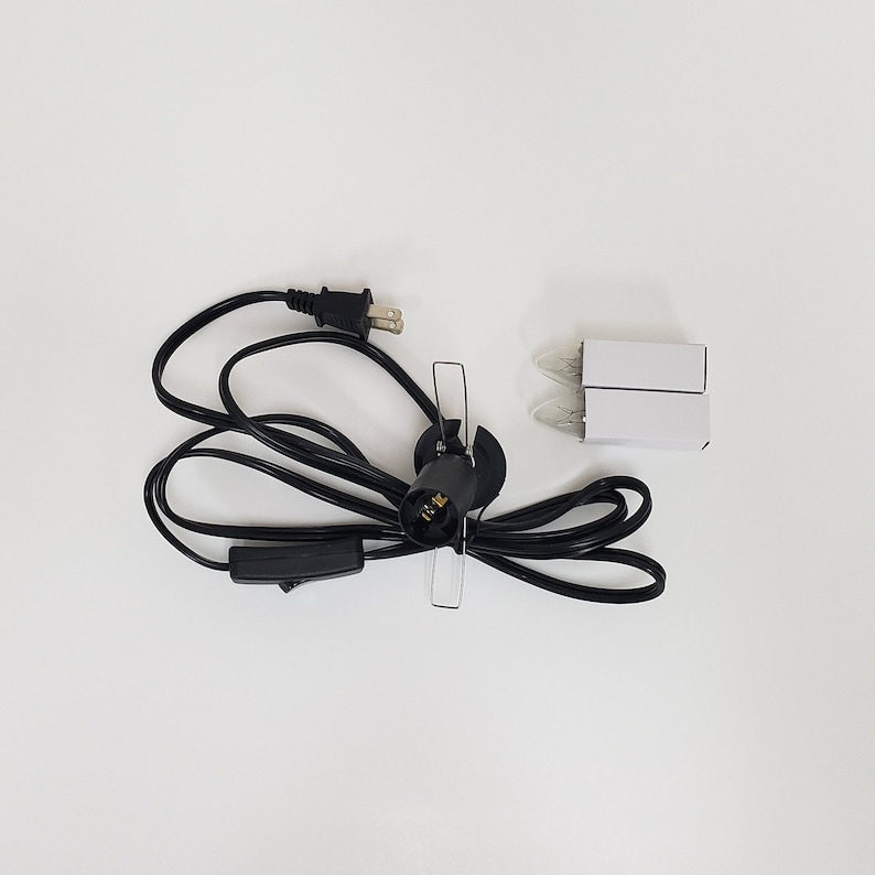 Pu&ograve; includere: Un cavo elettrico nero con una spina, un interruttore in linea e una presa per lampadina. Sono incluse due piccole lampadine trasparenti.