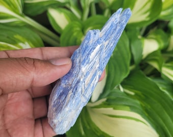 Blue Kyanite Rough | Raw Blue kyanite stone | healing crystals | Blue Crystal | Kyanite Specimen |  Rough Gem Stone Mineral