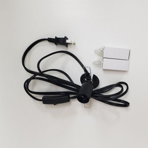 Pu&ograve; includere: Un cavo elettrico nero con una spina, un interruttore in linea e una presa per lampadina. Sono incluse due lampadine di ricambio.