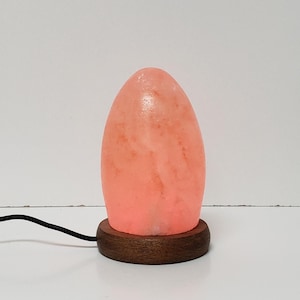 Salt Lamp USB, Egg Shape, wood base, Multi Color LED, Auto color change, Authentic Himalayan Salt, Handmade