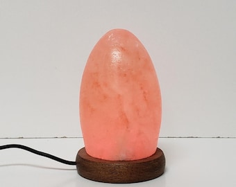 Salt Lamp USB, Egg Shape, wood base, Multi Color LED, Auto color change, Authentic Himalayan Salt, Handmade