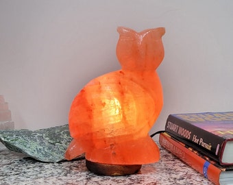 Himalayan Salt Lamp, Owl Shape Pink Salt, Rock Salt, 100% Pure and Original Natural Rock Salt from Himalayan Mountains