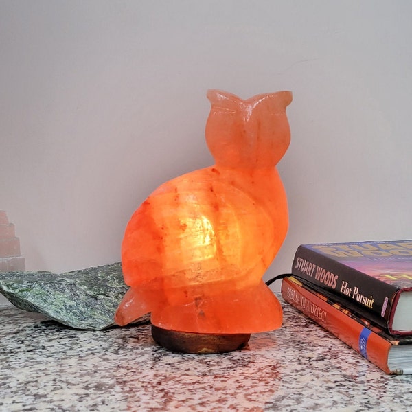 Himalayan Salt Lamp, Owl Shape Pink Salt, Rock Salt, 100% Pure and Original Natural Rock Salt from Himalayan Mountains