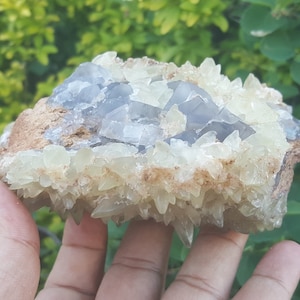 Fluorite Crystal Cluster with Dog Teeth ( Stellar Beam) Calcite | Natural green grey cubic fluorite raw specimen