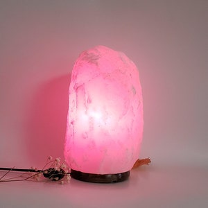 White Himalayan Salt Lamp Authentic White Himalayan Salt from Pakistan white rock salt image 5