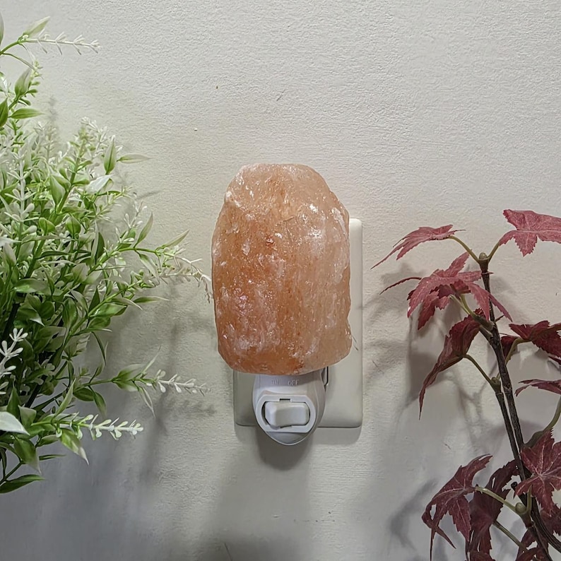 K&ouml;nnte beinhalten: Ein Himalaya-Salz-Nachtlicht, das in eine wei&szlig;e Steckdose gesteckt ist. Die Salzlampe ist ein gro&szlig;er, grob behauener, pfirsichfarbener Stein. Gr&uuml;ne und rote Pflanzen sind im Hintergrund zu sehen. Ein dekoratives Wohnaccessoire.