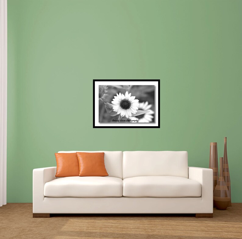Black and White Sunflower Photography Room Decor Wall Hanging Etsy