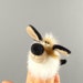 Little dog finger puppet. Small stuffed animal dog. Finger theater for children. Puppet for fingers. Plush toy doggy. Petite soft toy dog. 