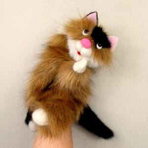 Red Golden Cat with black and white hand puppet. Marionette. Bibabo. Home children's theater. Plush red cat.