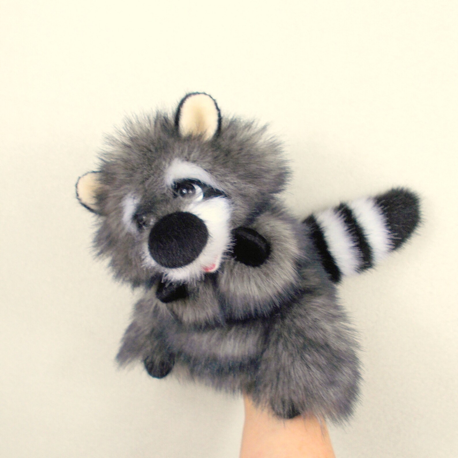 racoon puppet