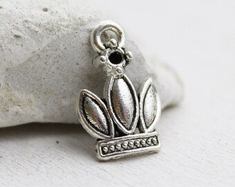 10 pièces - pendentif couronne - argent