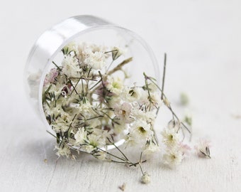 1 Box - Getrocknete Blumen und Zweige Schleierkraut - weiß creme grün