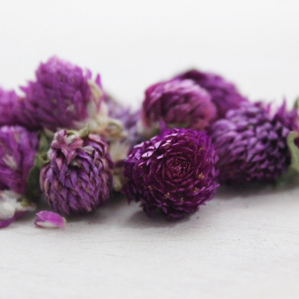 10 Stück - Getrocknete echte Kugelamarant Blüten - lila violett grün beige