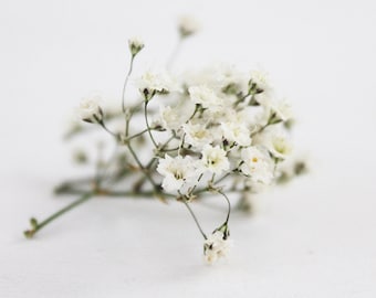 10 Stück - Extra dichte getrocknete Mini Blüten am Stengel - weiß grün