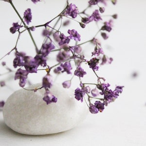 5 pieces - Dried mini flowers Gypsophila on the stem - purple