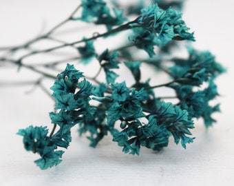 5 Stück - Getrocknete Mini Blüten am Stengel - türkis blau