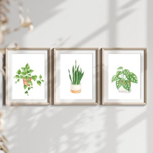 Potted Plant Print, Ivy Plant Print, Snake Plant Print, Monstera Deliciosa Plant Print