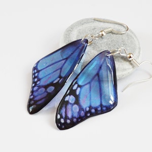 Blue Butterfly wing earrings with Sterling silver hooks