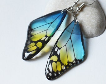 Blue yellow Butterfly wings earrings with Sterling Silver hooks